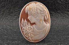 6 items , vintage shell cameo White and brown color (Total 291.0ct) with case.