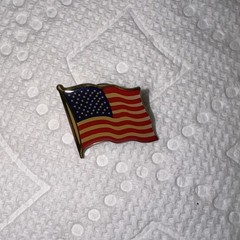 Vintage Set Of Five United States Brooch And Pins One With Rhinestones
