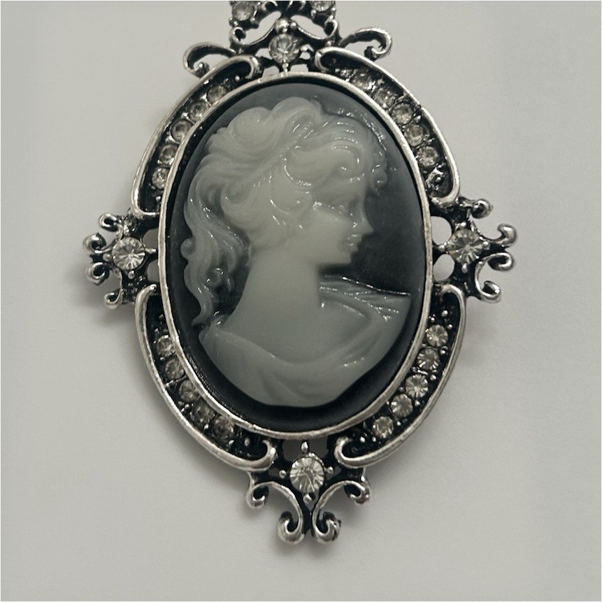 Oval Cameo Portrait Brooch Pin Silver Tone Frame Gray White Oval Art Beauty
