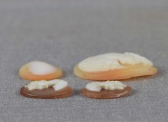 4 vintage SHELL CAMEOS