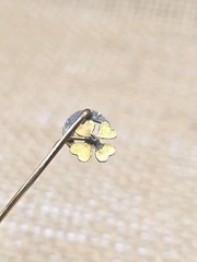 ATQ Gilt 4 Leaf Clover Crescent Moon Stick Pin Paste Moonstone Seed Pearl 2.3″