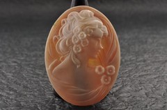 11 items , vintage shell cameo White and brown color (Total 302.0ct) with case.