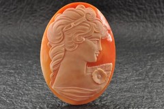 6 items , vintage shell cameo White and brown color (Total 291.0ct) with case.