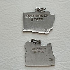 Vintage WELLS Sterling Silver Cloisonné Enamel USA State MOTTO Map Charms