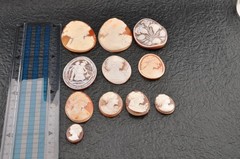 11 items , vintage shell cameo White and brown color (Total 302.0ct) with case.