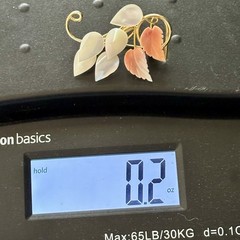 Vintage Carved Conch Shell Mother of Pearl MOP Leaf Flower Floral Spray Brooch
