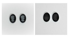 A Collection of 13 Cameos in Different Sizes