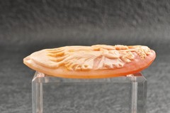 Vintage oval shell cameo, “Dancing Goddesses” (38.5ct) sign by artist with case.