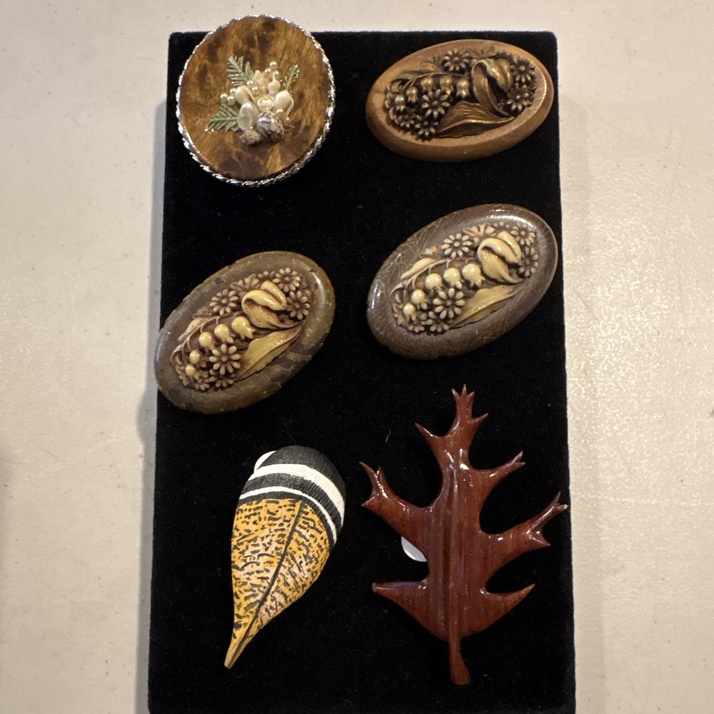 Lot of 6 Vintage Wood Nature Brooch Pins Multicolor Oval No Stone Unisex Adults