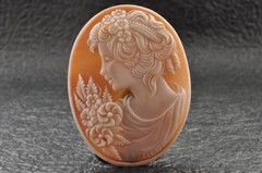 6 items , vintage shell cameo White and brown color (Total 291.0ct) with case.