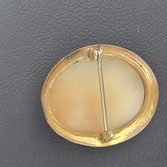 Vintage Cameo Brooch READ