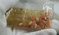 (5) Vintage Micro Shell Cameos