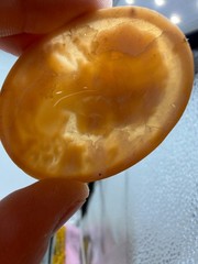 Vintage Cameo Unmounted Shell Girl in Profile Curls Bird Signed