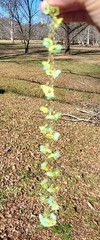 SALE VINTAGE URANIUM OPAL GREEN YELLOW GLASS FLOWER CLUSTER NECKLACE SET ARTISAN