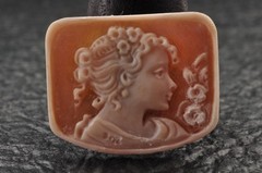 7items , vintage shell cameo White and brown color (Total 241.0ct) with case.