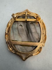 Vintage Cameo Brooch Pendant Combo Mother of Pearl Iridescent