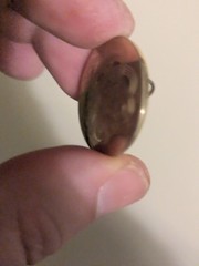 Bronze Colored Pin
