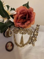 Beautiful and Unusual set of 4 Different Brooches for any occasion
