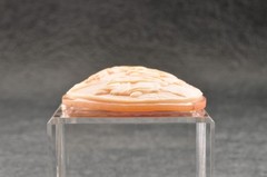 Vintage shape shell cameo, “Woman Sitting on a Terrace” (52.5ct), sign by artist