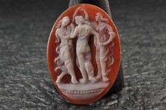 7items , vintage shell cameo White and brown color (Total 241.0ct) with case.