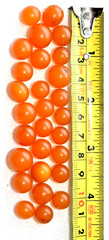 ✅ 20gr RUSSIAN SOVIET BALTIC SEA AMBER BOLLS NECKLACE 老琥珀 BEADS STONE ROCK PIN ☭