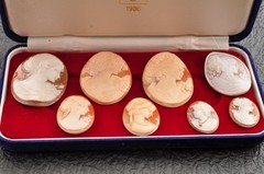 8 items , vintage shell cameo White and brown color (Total 157.5ct) with case.