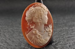9 items , vintage shell cameo White and brown color (Total 323.0ct) with case.