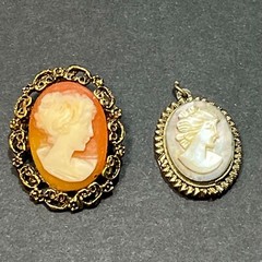 Vintage CAMEO Pendant and Pin ( 2 pieces)