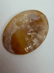 Vintage Cameo Unmounted Shell Girl in Profile Curls Bird Signed