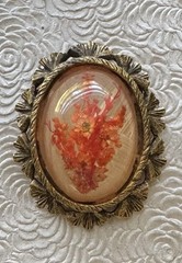 Unique vintage dry flower cameo brooch / Pendant