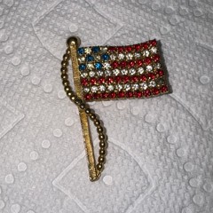 Vintage Set Of Five United States Brooch And Pins One With Rhinestones