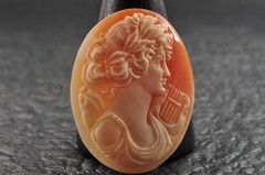 10 items , vintage shell cameo White and brown color (Total 206.0ct) with case.