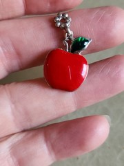 6 VINTAGE & MOD TEACHER THEMED PINS ENAMEL APPLES Wooden Nebraska Other