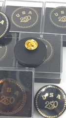 USA 250th Anniversary Obsidian Stone Pin Set OF 5 Badge 1.2″Limited Edition