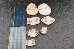7items , vintage shell cameo White and brown color (Total 241.0ct) with case.
