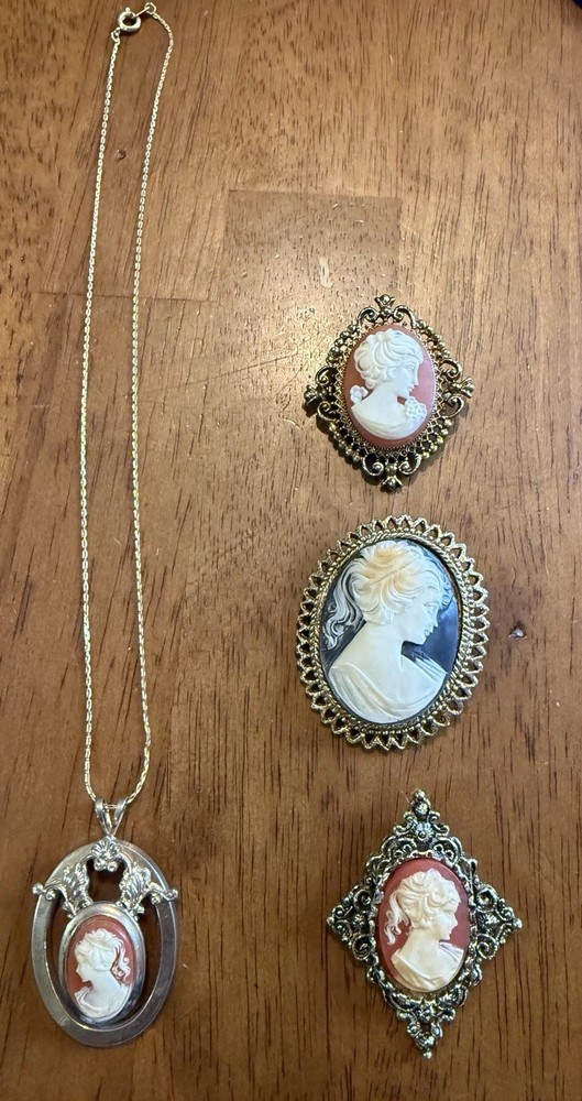 Lot Of 4 Vintage Cameos 1 Necklace And 3 Brooch Pin (1 Gerry)
