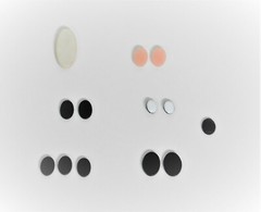 A Collection of 13 Cameos in Different Sizes