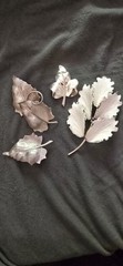 Silver Tone Leaf & Flower Brooch Pin Lot, 4 Pieces Metal Fashion Jewelry Women