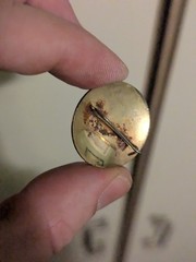 Bronze Colored Pin