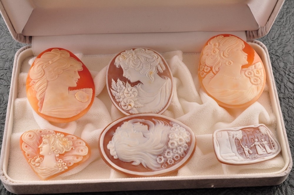 6 items , vintage shell cameo White and brown color (Total 291.0ct) with case.
