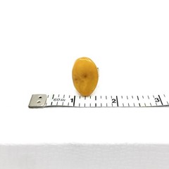 Vintage Sterling Silver 925 TttttEgg Yolk Amber Color Ring Estate Jewelry READ