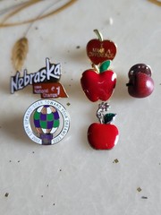 6 VINTAGE & MOD TEACHER THEMED PINS ENAMEL APPLES Wooden Nebraska Other