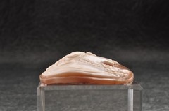 Vintage shell cameo, “The Girl with the Necklace” (60.0ct) sign by artist, Case.