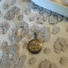Very Large Augusta National pendant ( Compared To Normal )