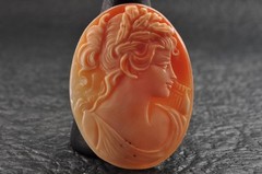 10 items , vintage shell cameo White and brown color (Total 206.0ct) with case.