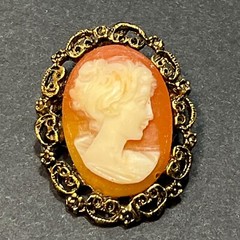 Vintage CAMEO Pendant and Pin ( 2 pieces)