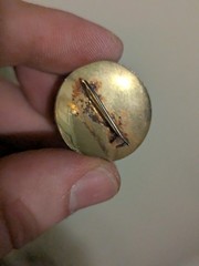 Bronze Colored Pin