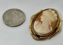 Vintage Gold Filled Carved Shell Lady CAMEO Left Facing Ornate Frame Brooch
