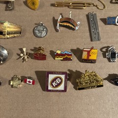 30 Various Pins And Pendants