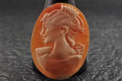 10 items , vintage shell cameo White and brown color (Total 206.0ct) with case.